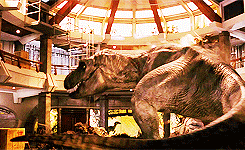 gollumjuice:  Jurassic Park Meme ∞ Favorite Dinosaur:  Tyrannosaurus Rex  