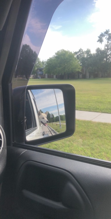 Had a good day at work and got off early 🤘🏼and the pups always love a ride in the Jeep