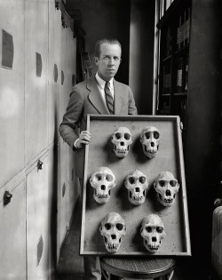 Man with skull display, Washington, D.C.,