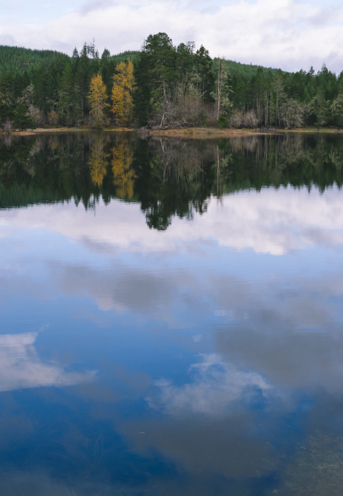 Went exploring and I found a gorgeous lake out in Seabeck