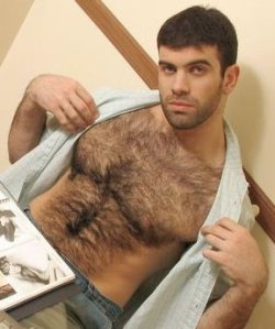 hairy pecs, hairy body, dreamy eyes, kissable