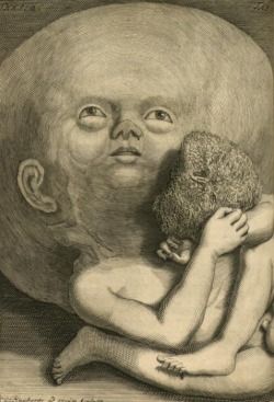 Frederik Ruysch and Cornelis Huyberts - Infant