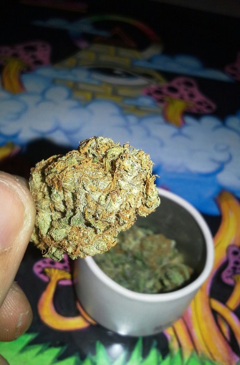 nightoftheilluminati:  SoMango for this stoner sunday :)  Phone camera