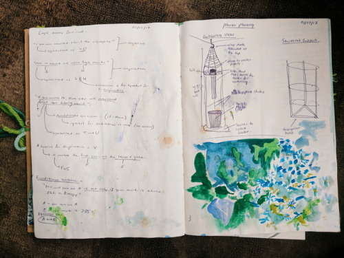 Pages inspired by gardens and plants in my summer art journal :)
