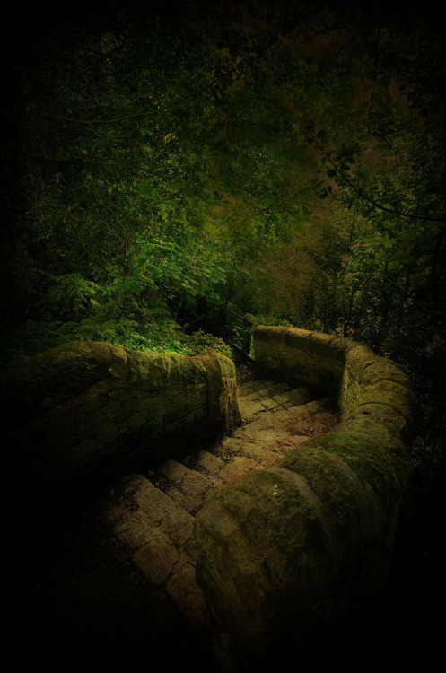 firmamente: Stairway in Colinton Dell by Trees &amp; Castles