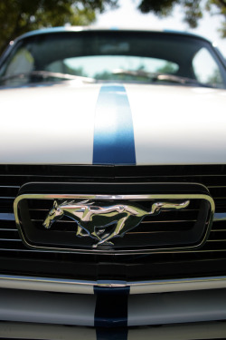 automotivated:  Ford Mustang (by Fred_T)