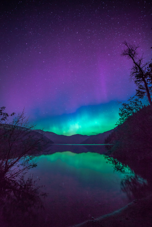 Reflected Aurora ~ Christina Lake, British Columbia ~ by Steve Hancock