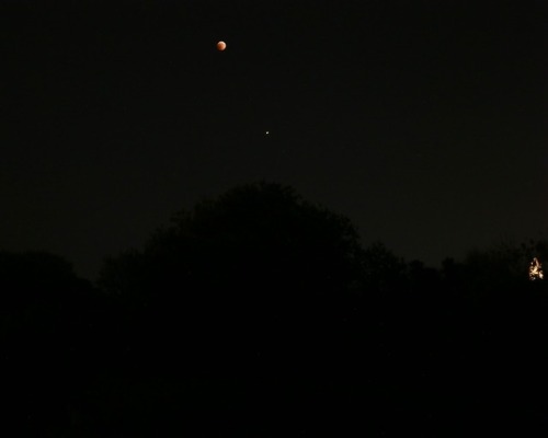 Blood moon from Filapappou Hill, Athens