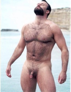 Brut-With-Beard:  Brüt-With-Beard