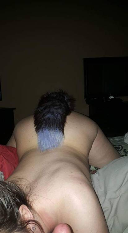katiemills280: Love to feel my #foxtail in my ass while I’m sucking dick 