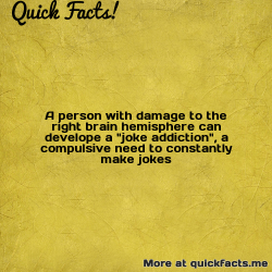 dailycoolfacts:  Quick Fact: A person with damage to the right brain hemisphere can… | For more info about this fact visit: https://ift.tt/2NDwXR3