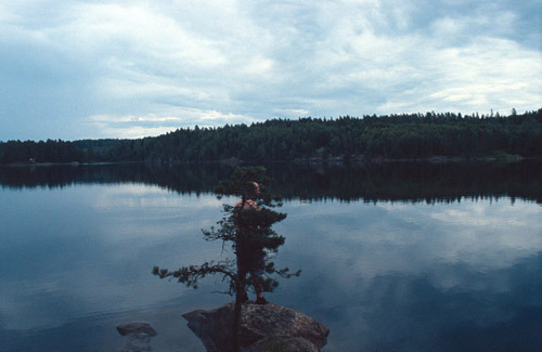 Hair Appointment. Sweden.