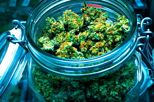 The Cannabis Queen