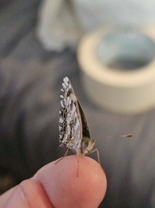 I Made A Friend :D