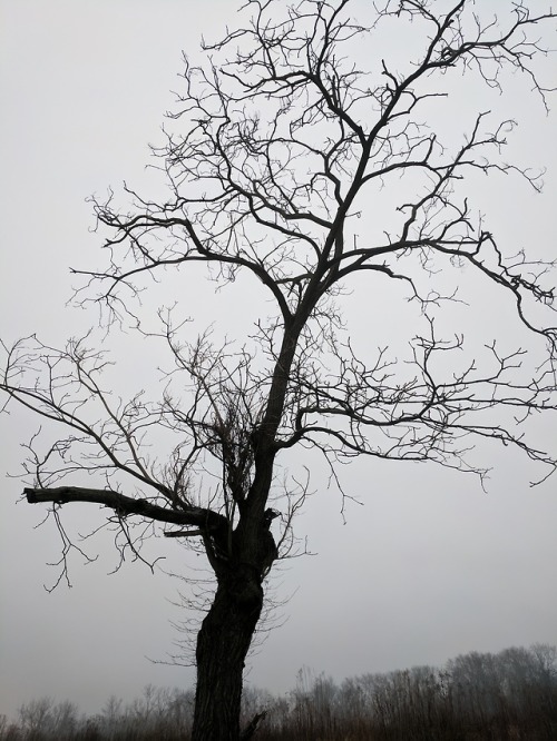 blackmetalchainsaw: Perfect weather today.