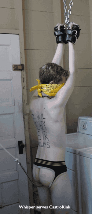 chubasstoronto: subbyfagboy:  gaybondageboys:  castrokinky:  I think @whisperpup