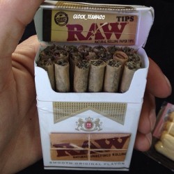 weedporndaily:  Raw life 24/7/365 