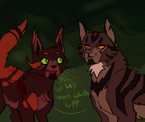 rillrex-archive: Ravenpaw just saw some seriously fucked up shit