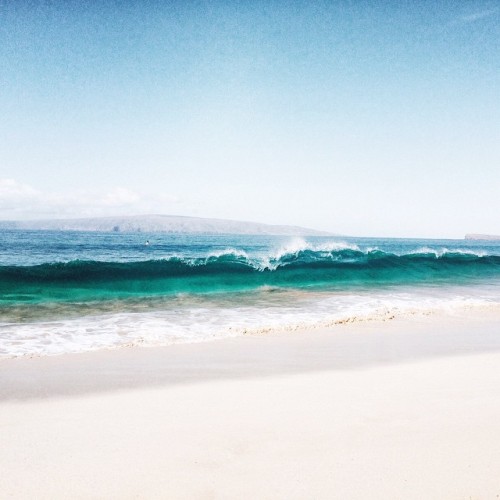 http://castawaylabel.tumblr.com/post/116433842363
