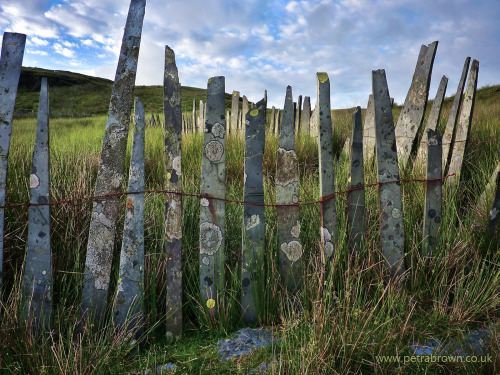 mydododied:The crooked teeth of the traditional welsh slate fence make for a great foreground to a p