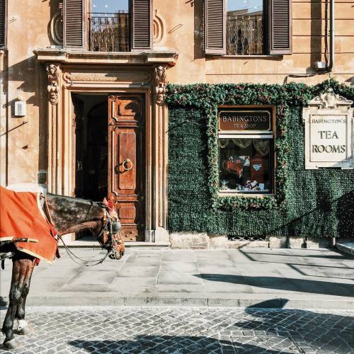 archatlas:Rome David PintoA small sampling of the images you will find on David Pinto’s tumblr. In h