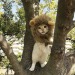 friendly-animals:(Source)
