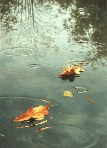 rainydaym00d:  Autumn rain 🍁🍃 