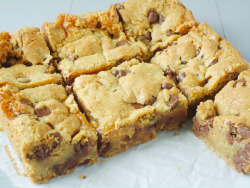 dropdeaddelicious:  thecakebar:  Salted Caramel Chocolate Chip Cookie Bars  x 