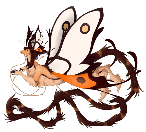 Commission For Oraegano On Discord !
