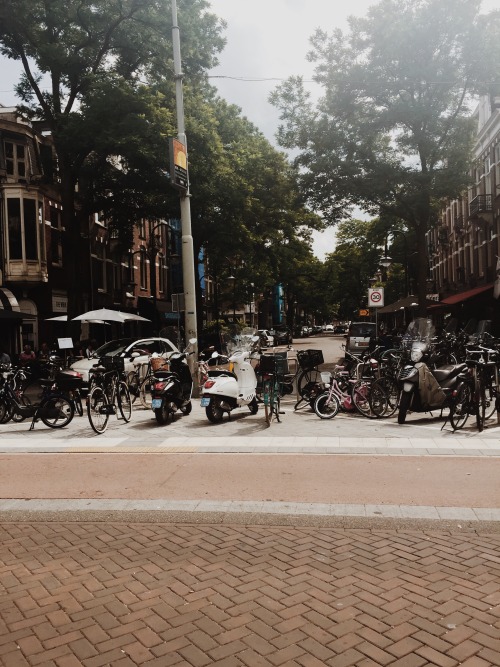 Talking about Amsterdam&hellip;I took this photo at a local neighborhood, near the Van Gogh Muse