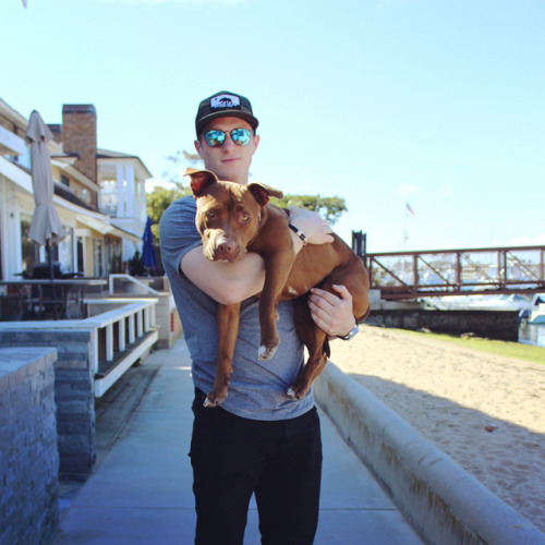 Josh Manson with his foster dog, Barb(Source: instagram.com/joshmanson42)