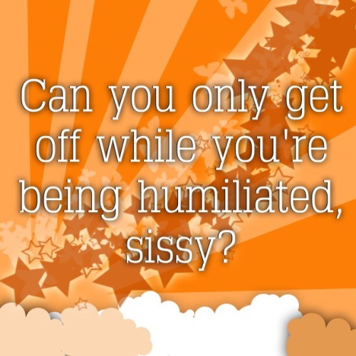 Curious Sissy