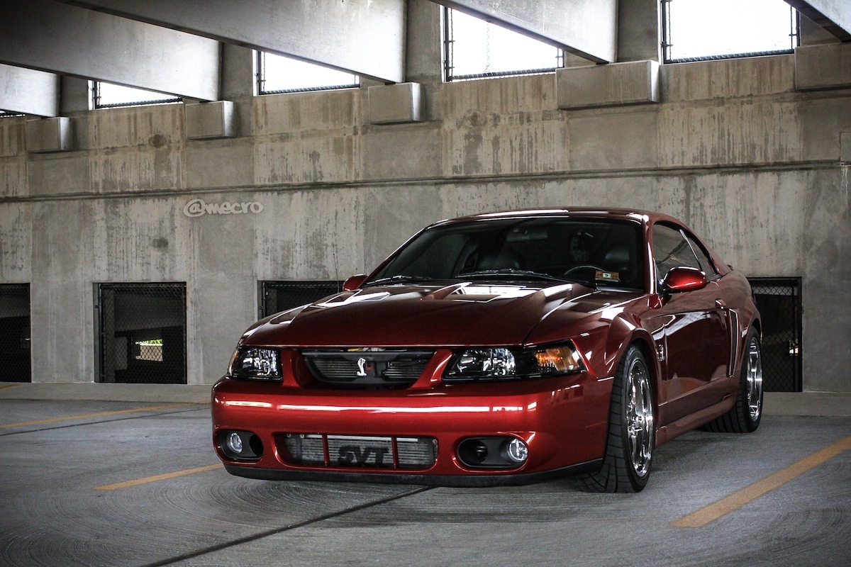 JUST THE COOLEST MUSTANGS