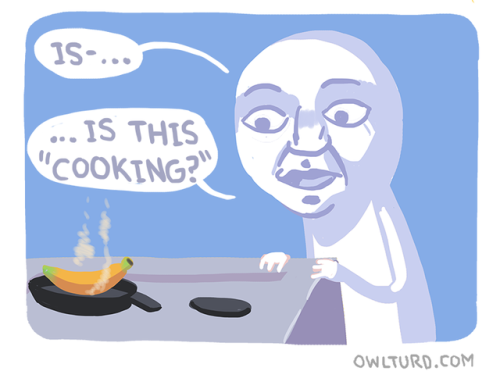 cant cook