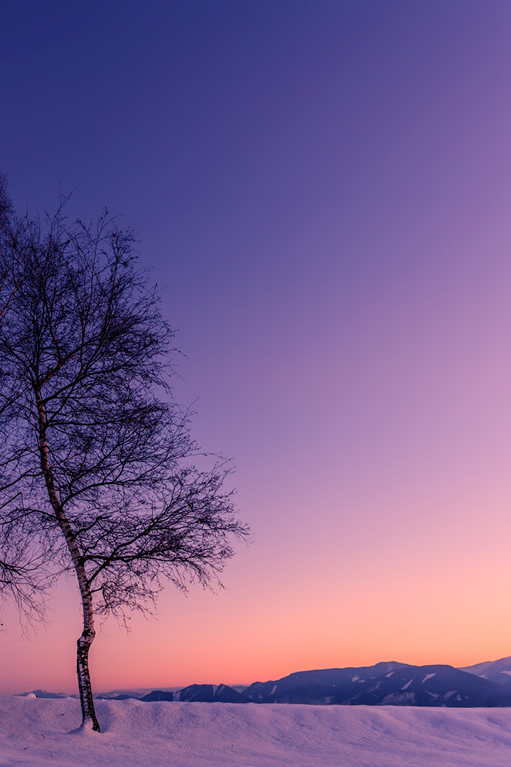 sundxwn:  Sunset by Martin Sprušanský 