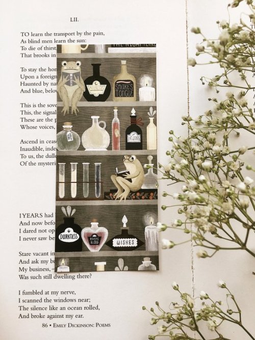 snootyfoxfashion:Bookshelf Animal Bookmarks from annyamarttinenx / x / x / x / x 