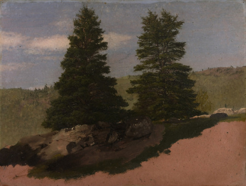 New England Landscape (Two Pine Trees)Frederic Edwin Church (American; 1826–1900) 1850Brush and oil 