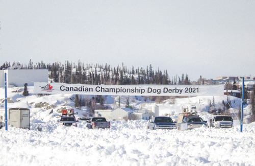 Accidentally missed the start of the Underdog 100 but watched the 4-dog and 6-dog starts for the Can