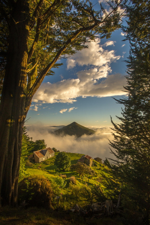 silvaris:  Cone in the cloud by David Steer 