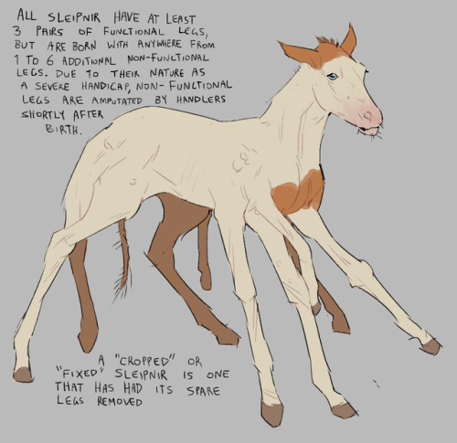 owligator:  If theres one thing I crave whenever I play New vegas it’s.. horses.. So i MADE MY OWN  They’re called sleipnir for pretty self explanatory reasons, plus I thought being named after something mythological fits pretty well with some of