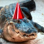 partyhat01