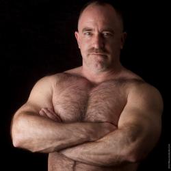 Bears, daddy, handsome older man, mature