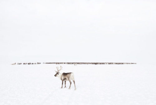 songs-of-the-east:Inside Siberia’s isolated community of forgotten women. Photographed by Oded Wagen