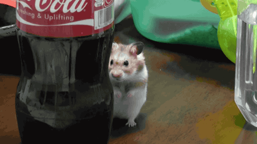 thenorwegianmonk:  drbb4ver:  