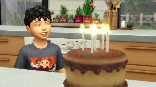  nolan family update! oliver celebrated his birthday, violet started the painter career, and the kid