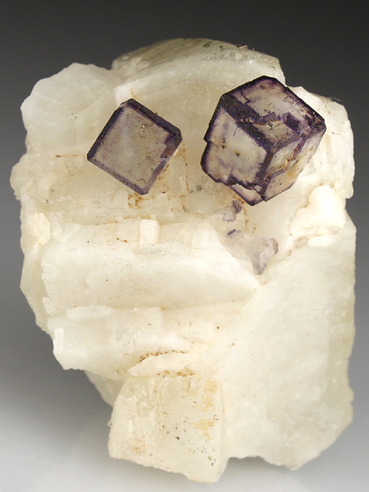 mineralists:  Colorless cubes of Fluorite with dark purple edges ontop of Calcite