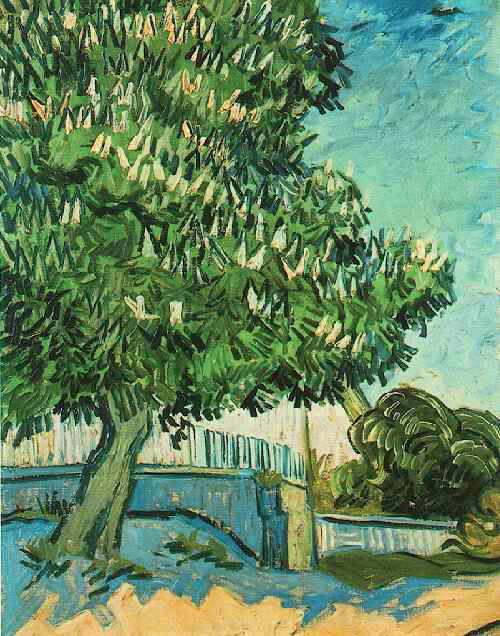 igormaglica:  Vincent van Gogh (1853-1890), Chestnut Tree in Blossom, 1890.  oil on canvas, 63 x 50.5 cm 