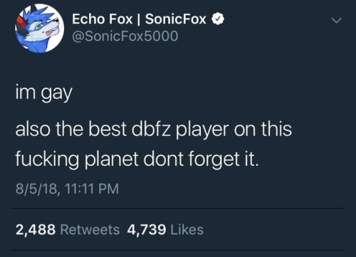 furrypost-generator: furrypost-generator: i can’t believe sonicfox saved the furry community 2