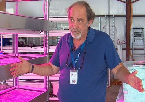 Indoor farming: Agriculture&rsquo;s next revolution?Great video when you click the title link!&n