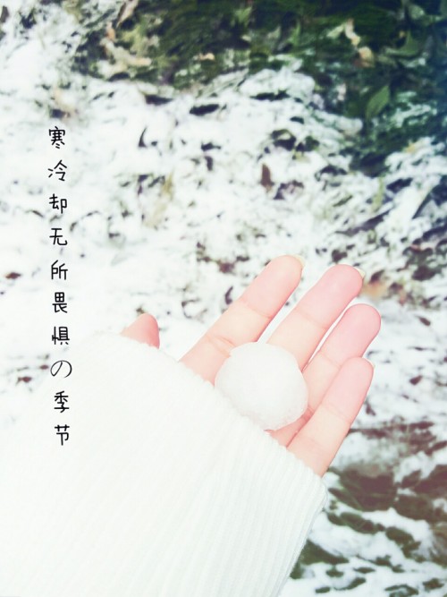 I Love Snowy Days * \(=^･▽ ･^=)/ *